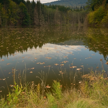 Parcul Natural Vânători - Neamț